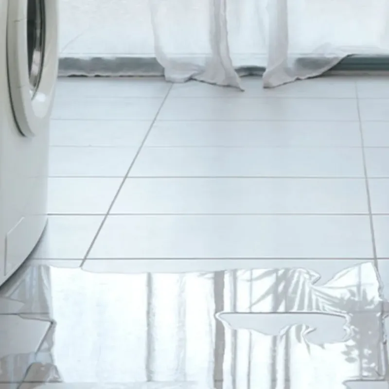 Appliance Leak Cleanup in Osceola, MO