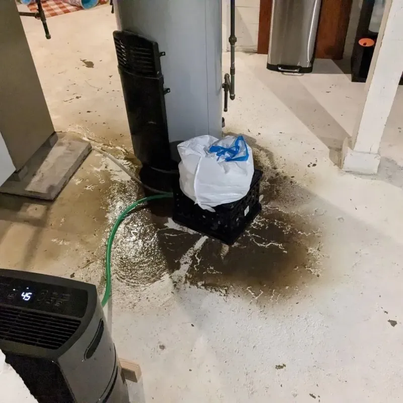 Sewage Backup Cleanup Service in Osceola, MO